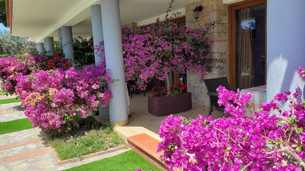 Hotel Brifs Shëngjin Extérieur photo