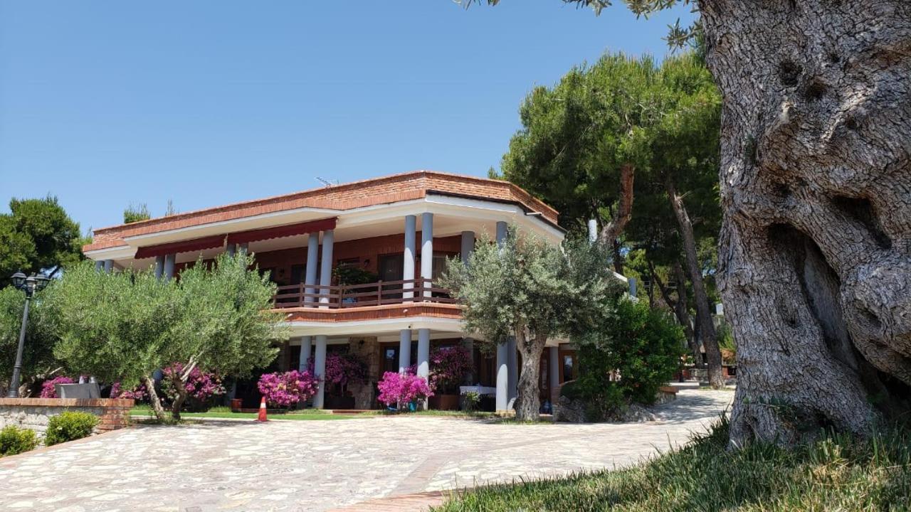 Hotel Brifs Shëngjin Extérieur photo