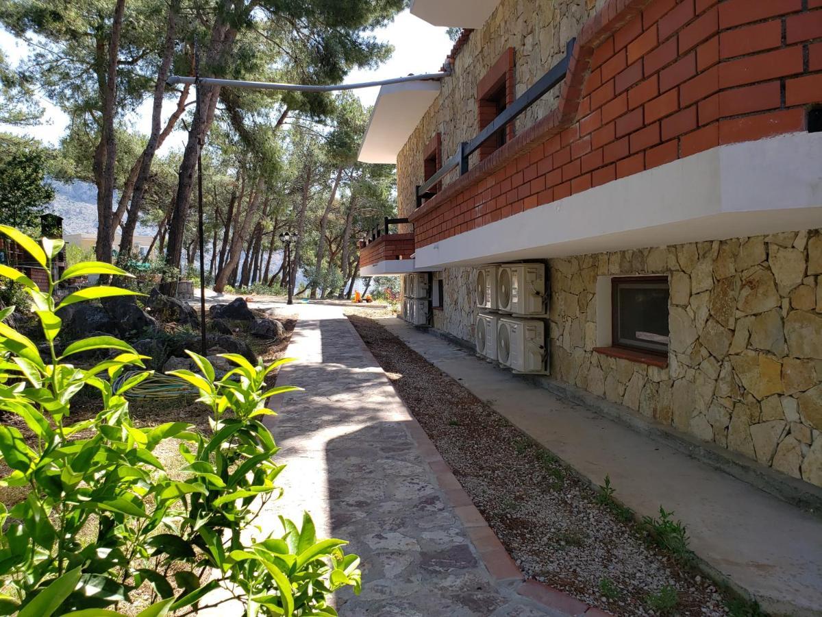 Hotel Brifs Shëngjin Extérieur photo